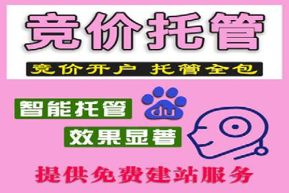 SEM推广竞价代运营成功案例：提升品牌知名度的秘诀
